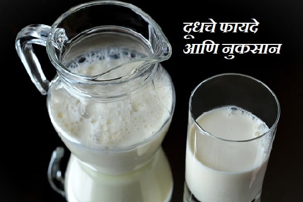 Advantage and Disadvantages of Milk