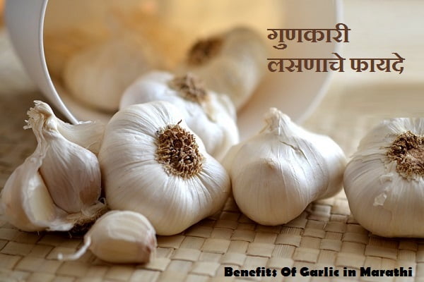 Benefits Of Garlic