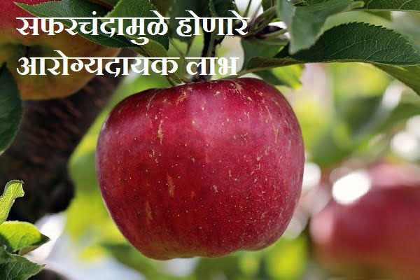 Benefits Of Apple