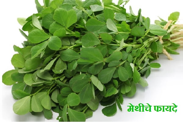 Benefits of Methi