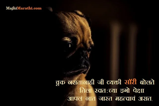 Marathi Sorry Message
