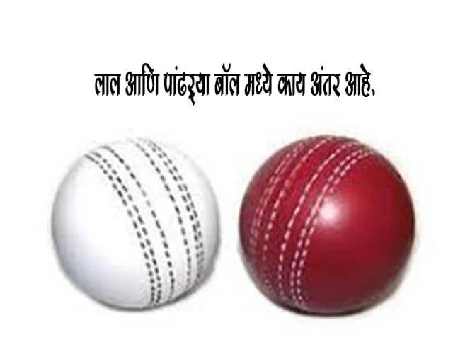 Difference Between White and Red Cricket Ball