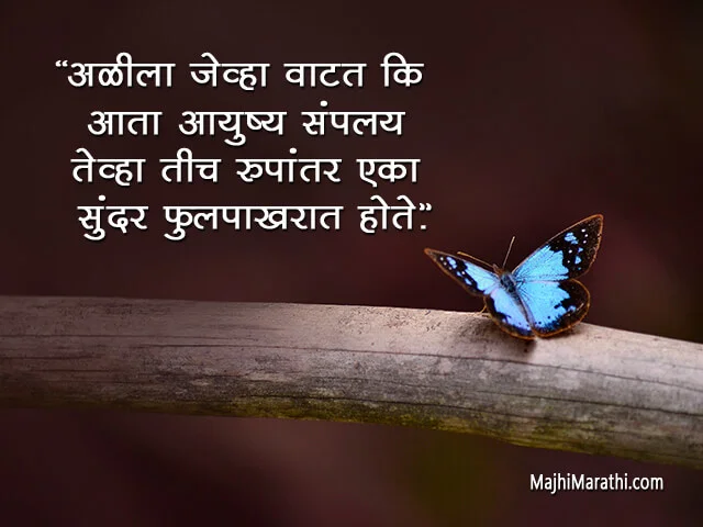Butterfly Quotes in Marathi