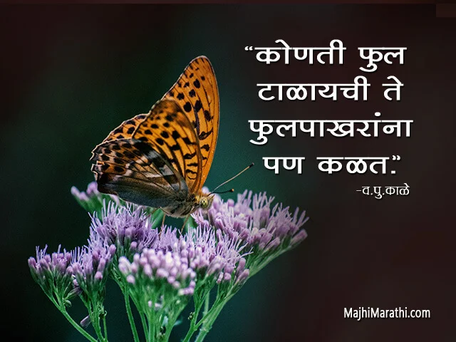 Phulpakharu Quotes in Marathi