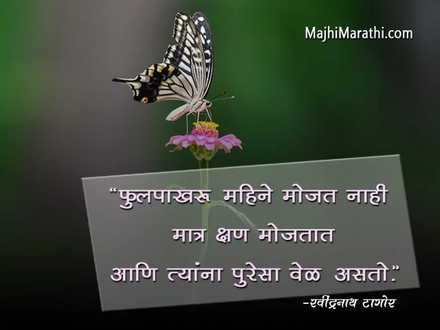 Butterfly Quotes