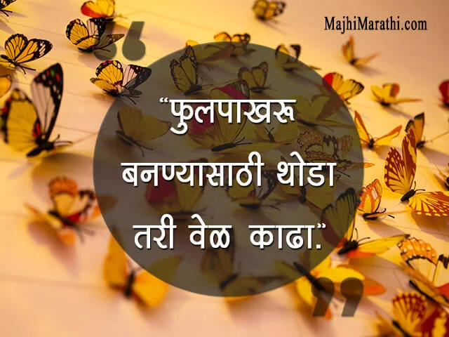 Butterfly Status in Marathi