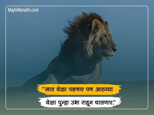 Lion Quotes