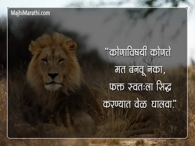 Lion Status