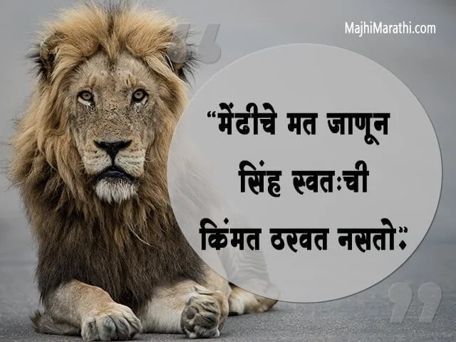 Lion King Quotes