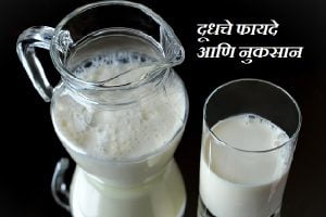 Advantage and Disadvantages of Milk