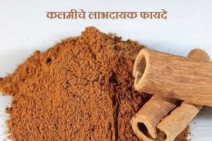 Benefits Of Dalchini