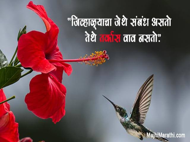 Good Quotes in Marathi