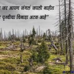 Save Mother Earth Quotes