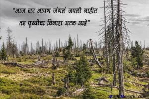 Save Mother Earth Quotes