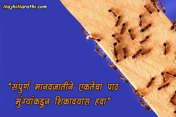 Unity Slogans