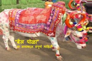 Pola Festival