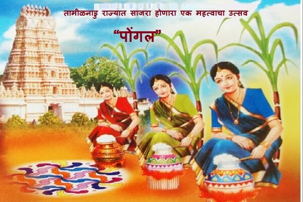 Pongal Festival in Marathi