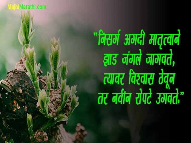 Best Nature Quotes