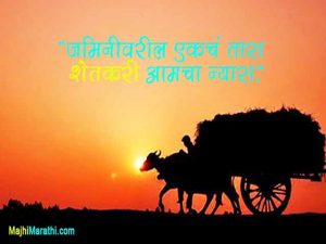 Farmer Quotes