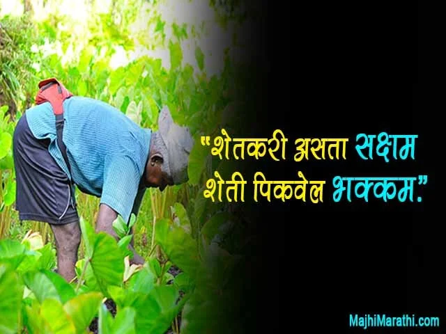 Jai Jawan Jai Kisan Quotes