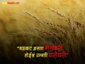 Marathi Shetkari Status