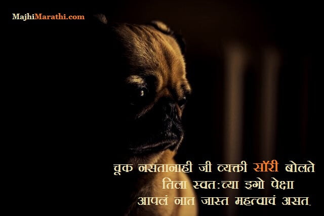 Sorry Quotes in Marathi