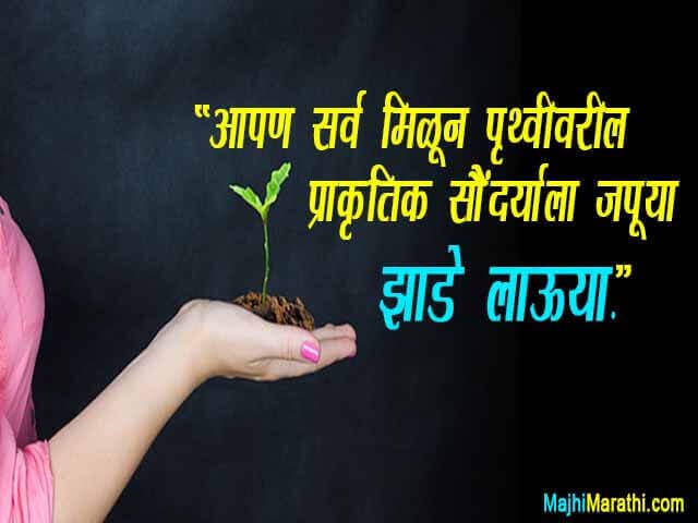 Nature Quotes