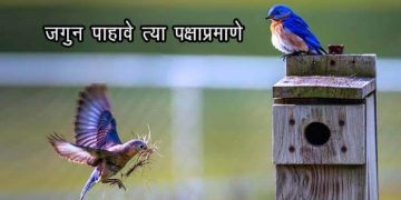Poem on Birds in Marathi