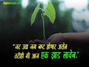 Quotes on Nature