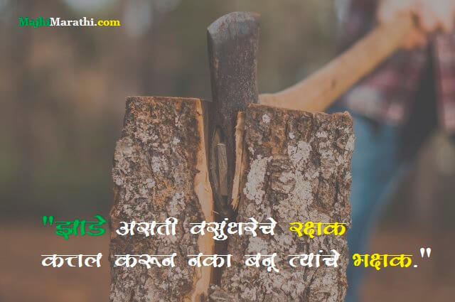Slogan on Tree