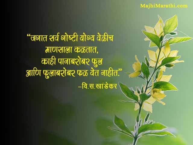 Vi Sa Khandekar Quote in Marathi
