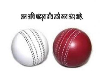 Difference Between White and Red Cricket Ball