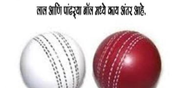 Difference Between White and Red Cricket Ball