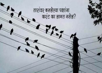 Why Don't Birds Get Electrocuted on Electric Wires