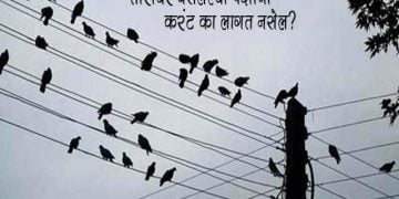 Why Don't Birds Get Electrocuted on Electric Wires