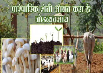 Agriculture Business Ideas in Marathi