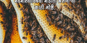 Honey Bee Information in Marathi
