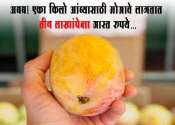Most Expensive Mango
