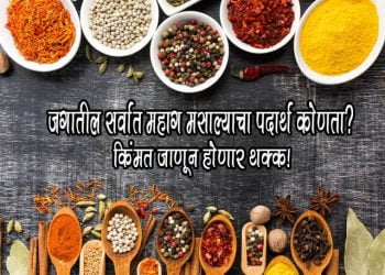 Saffron Most Expensive Spice in the World