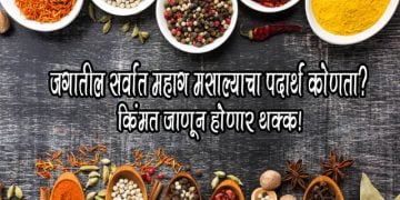 Saffron Most Expensive Spice in the World