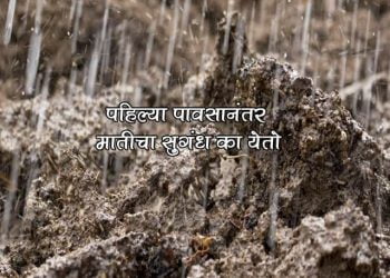 Smell After Rain Petrichor