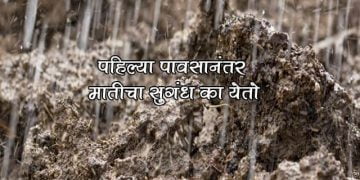 Smell After Rain Petrichor