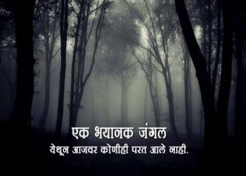 Hoia Haunted Forests