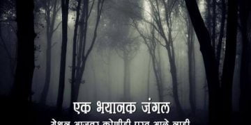 Hoia Haunted Forests