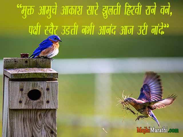 Independence day Wishes
