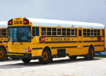 Why are School Buses Yellow