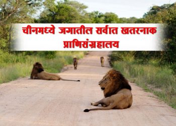 Lehe Ledu Wildlife Zoo