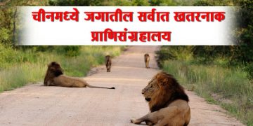 Lehe Ledu Wildlife Zoo