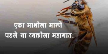 Man Blows up House While Chasing Fly