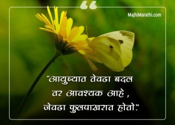 रंगबिरंगी फुलपाखरांवर काही सुंदर कोट्स